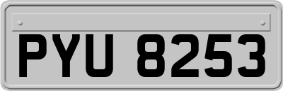 PYU8253