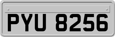 PYU8256