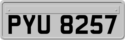 PYU8257