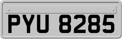 PYU8285