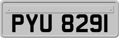 PYU8291