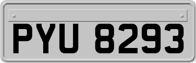 PYU8293