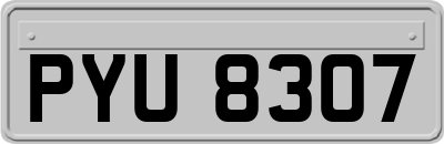 PYU8307