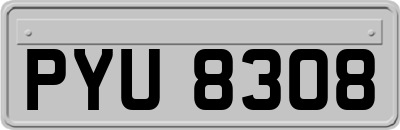 PYU8308