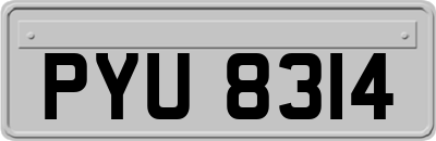 PYU8314