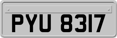 PYU8317