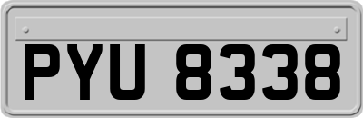 PYU8338