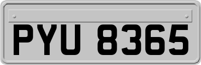 PYU8365