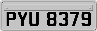 PYU8379