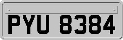 PYU8384