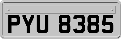 PYU8385