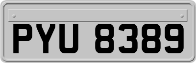 PYU8389