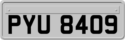 PYU8409