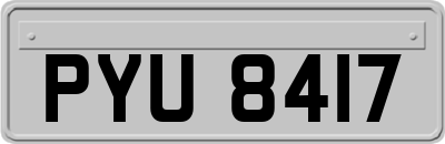 PYU8417