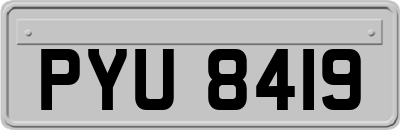 PYU8419