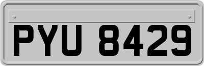 PYU8429