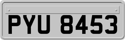 PYU8453