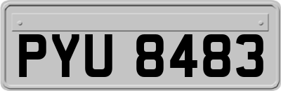 PYU8483