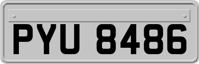 PYU8486