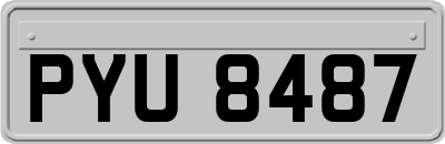 PYU8487