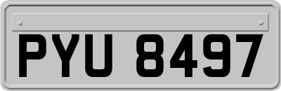 PYU8497