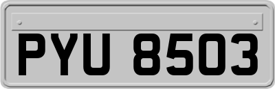 PYU8503