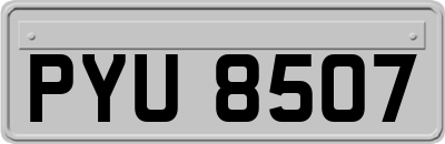 PYU8507