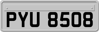 PYU8508