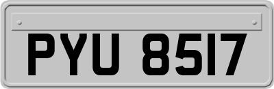 PYU8517