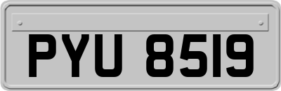 PYU8519