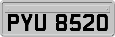 PYU8520