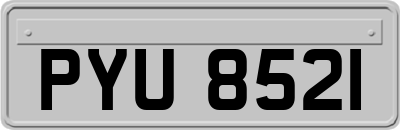 PYU8521