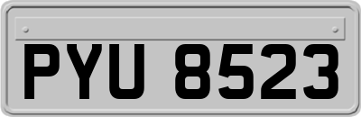 PYU8523