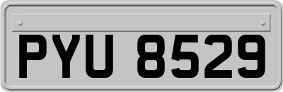 PYU8529