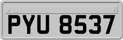 PYU8537