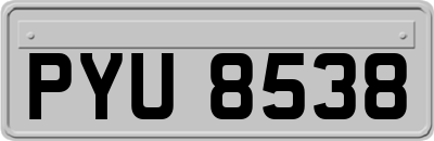 PYU8538