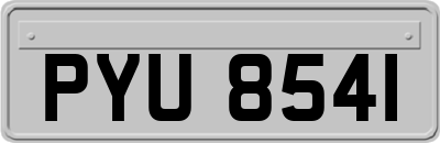 PYU8541