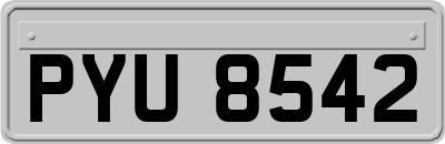 PYU8542