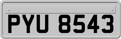 PYU8543