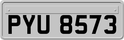 PYU8573