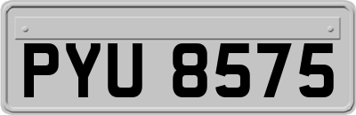 PYU8575