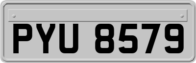 PYU8579