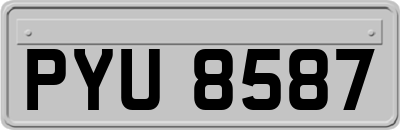 PYU8587