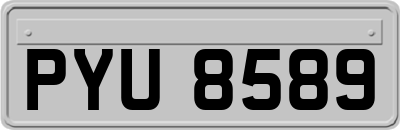 PYU8589