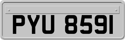PYU8591