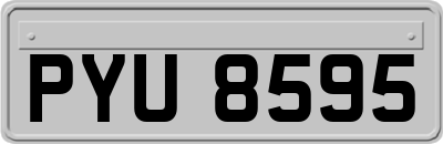 PYU8595