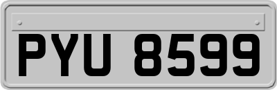 PYU8599