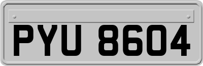 PYU8604