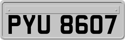 PYU8607