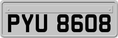 PYU8608